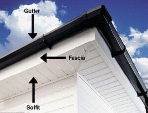fascia